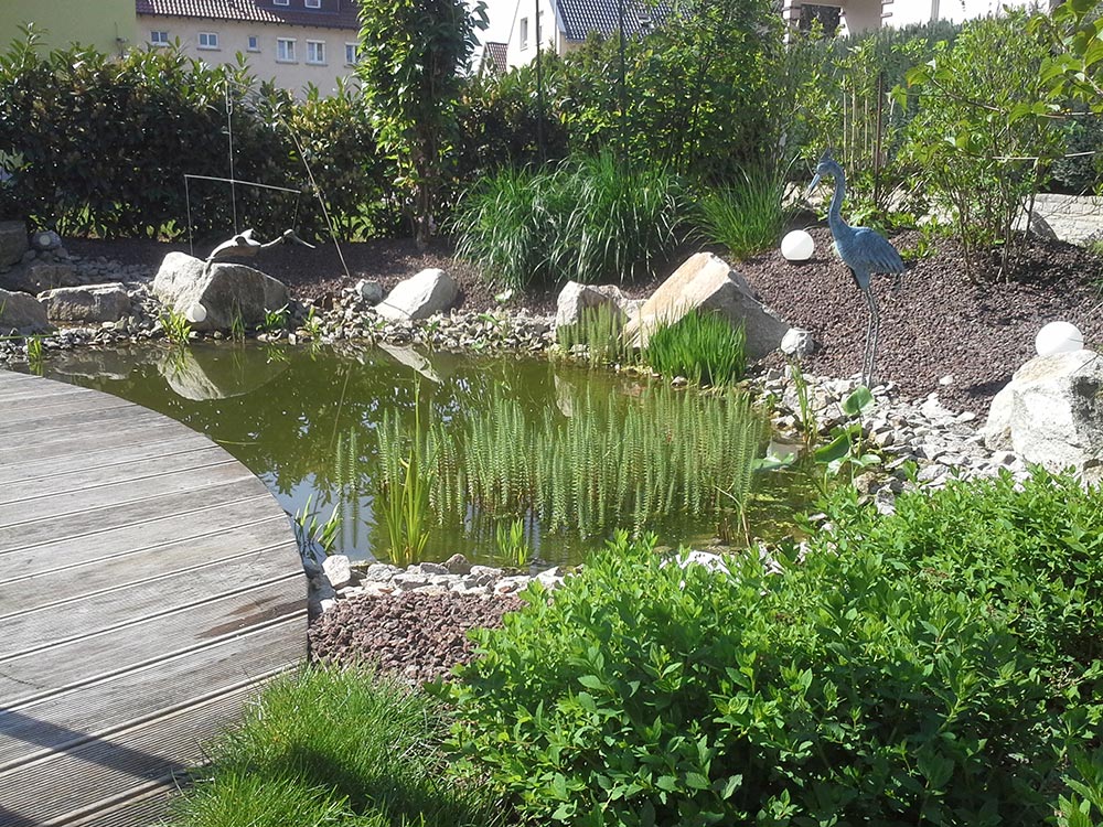 Umgestaltung einer Gartenanlage mit Holzdeck und Teich